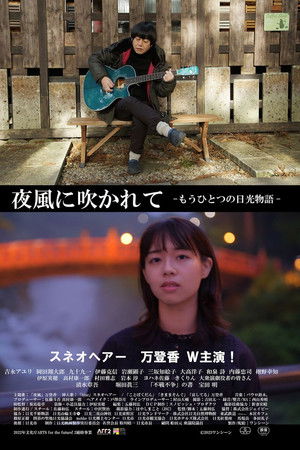 夜風に吹かれて もうひとつの日光物語