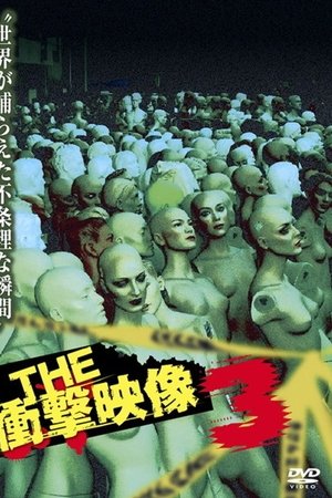 THE Shōgeki Eizō 3