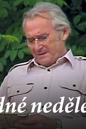 Stalo se jedné neděle