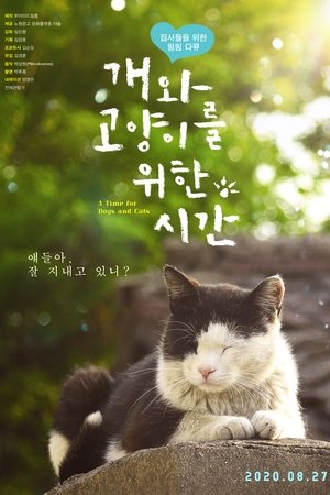 A Time for Dogs and Cats