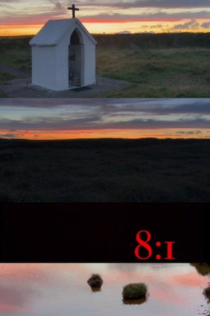 8:1
