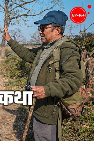 Story of the Old Tiger