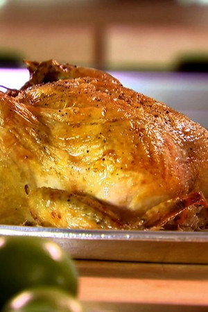 Chicken 101