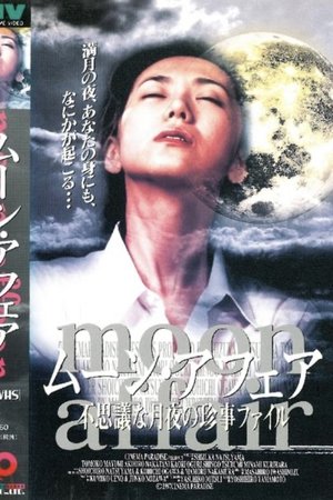 Moon Affair: Mysterious Moonlit Night File