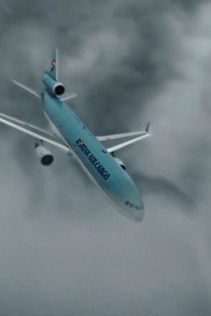 Mixed Measures (Korean Air Cargo Flight 6316)
