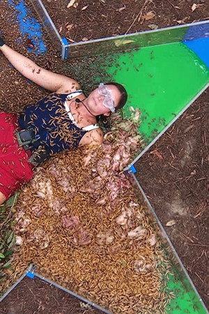 Final: Stake Out / Bushtucker Bonanza / Panic Pit