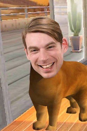 Cats and Dogs