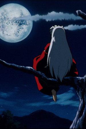 Aristocratic Assassin, Sesshomaru