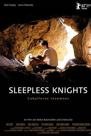 Sleepless Knights