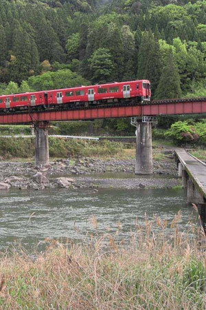Life and the Wild Rivers of Northern Kyushu