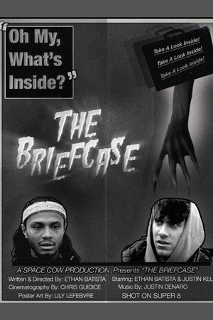 THE BRIEFCASE