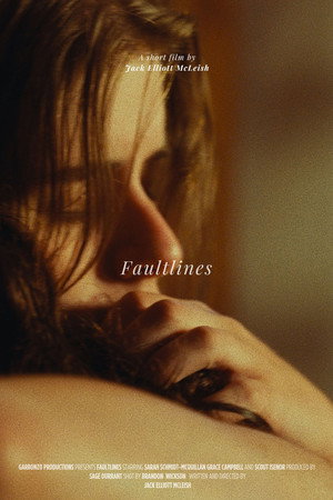 FAULTLINES