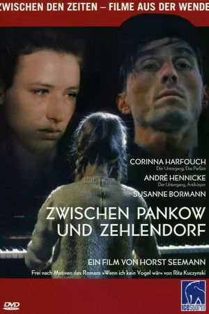 Zwischen Pankow und Zehlendorf