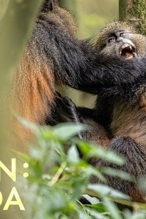 Mission: Uganda