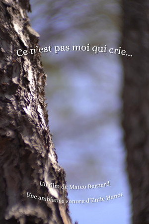 Ce n'est pas moi qui crie...