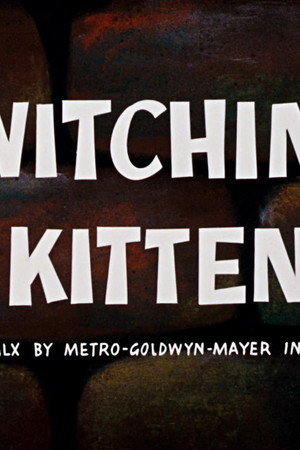 Switchin' Kitten