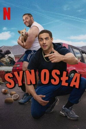 Syn osła