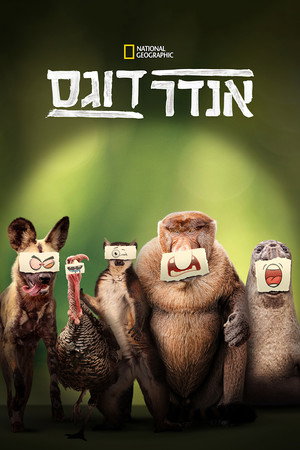אנדרדוגס