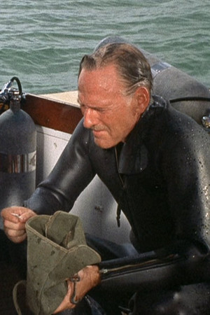 Flipper's Treasure
