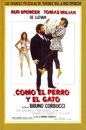 Como el perro y el gato