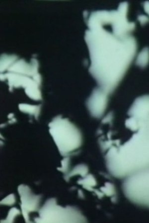 Maïm