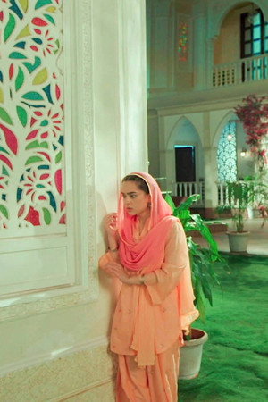 Seher Uncovers a Deadly Plot