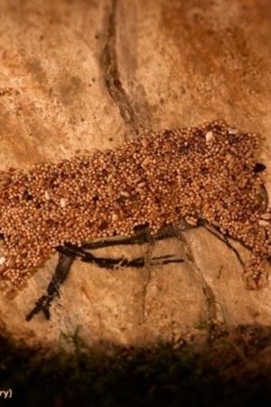 7. epizoda