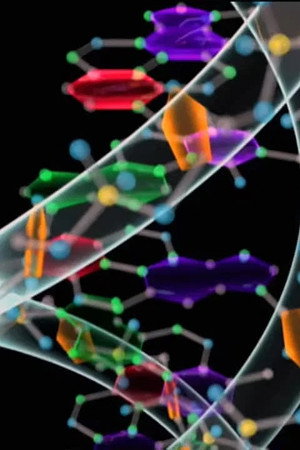 The Surprises of DNA