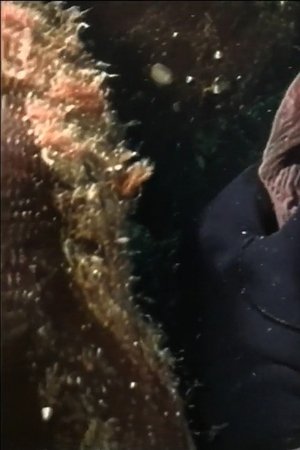 8. epizoda