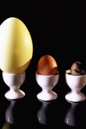 Brunch (1)