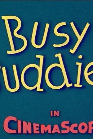 Busy Buddies