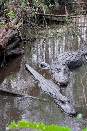 3. epizoda