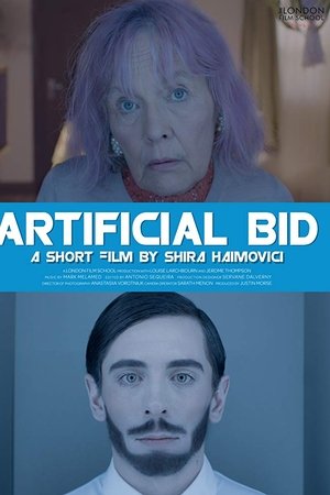 Artificial Bid