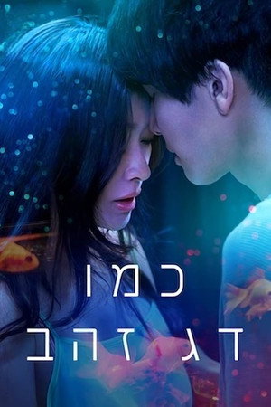 כמו דג זהב