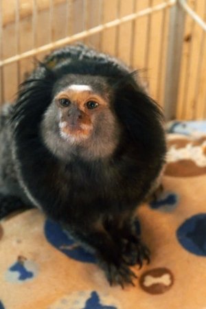 6. epizoda