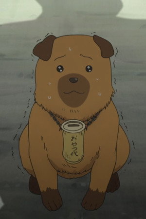 Hachiken Jumps High
