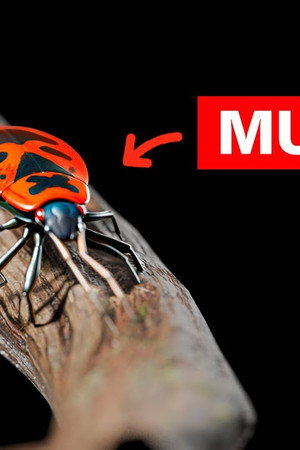 The Mutated Animals of Chernobyl