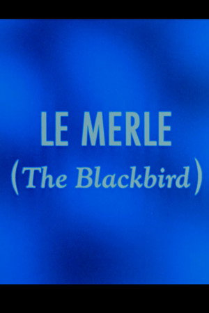 Le merle