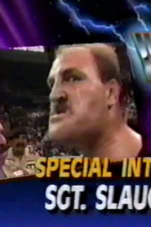 July 20, 1991 - Superstars of Wrestling 255