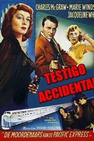 Imagen de Testigo accidental