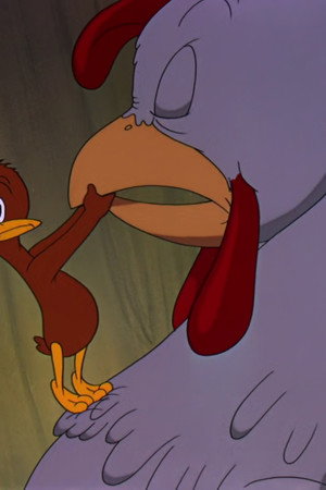 The Squawkin' Hawk
