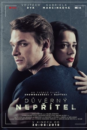 Důvěrný nepřítel