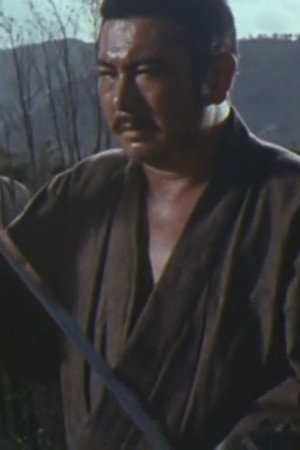 A Bird Lands On Ichi