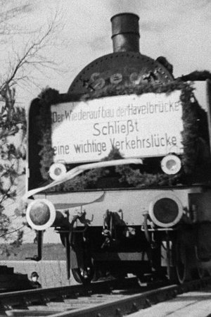 Die Brücke von Caputh