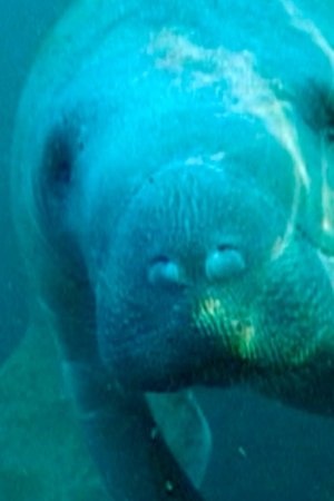 4. epizoda
