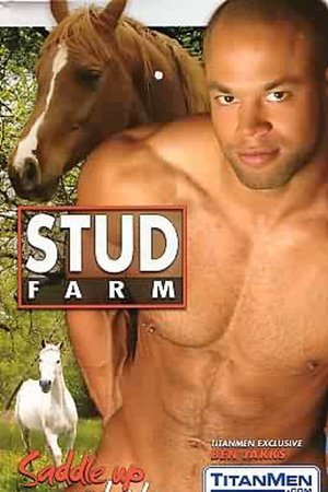 Stud Farm