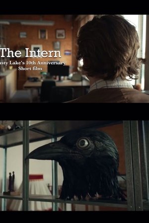 The Intern