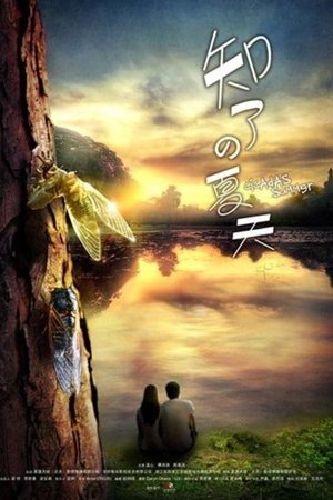 知了的夏天