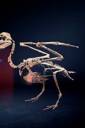 3. epizoda