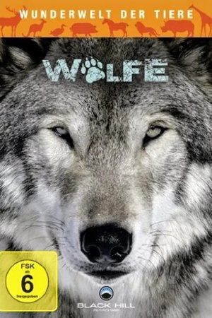 Wunderwelt der Tiere - Wölfe
